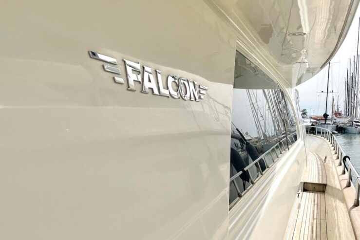 Falcon 86